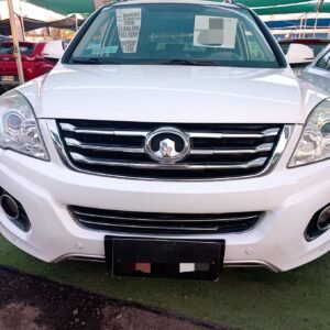 Great HG Luxury 2018 1.5cc